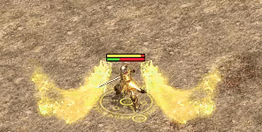 金翅膀.gif