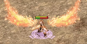 橘翅膀.gif